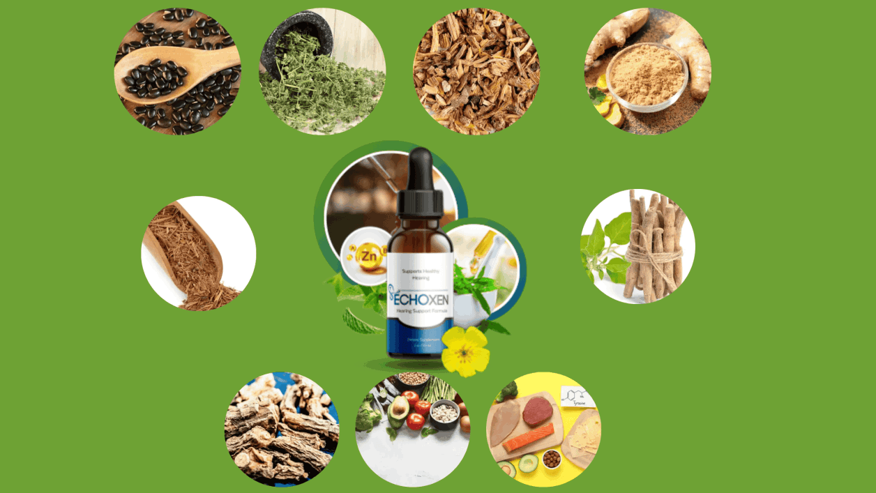 echoxen ingredients